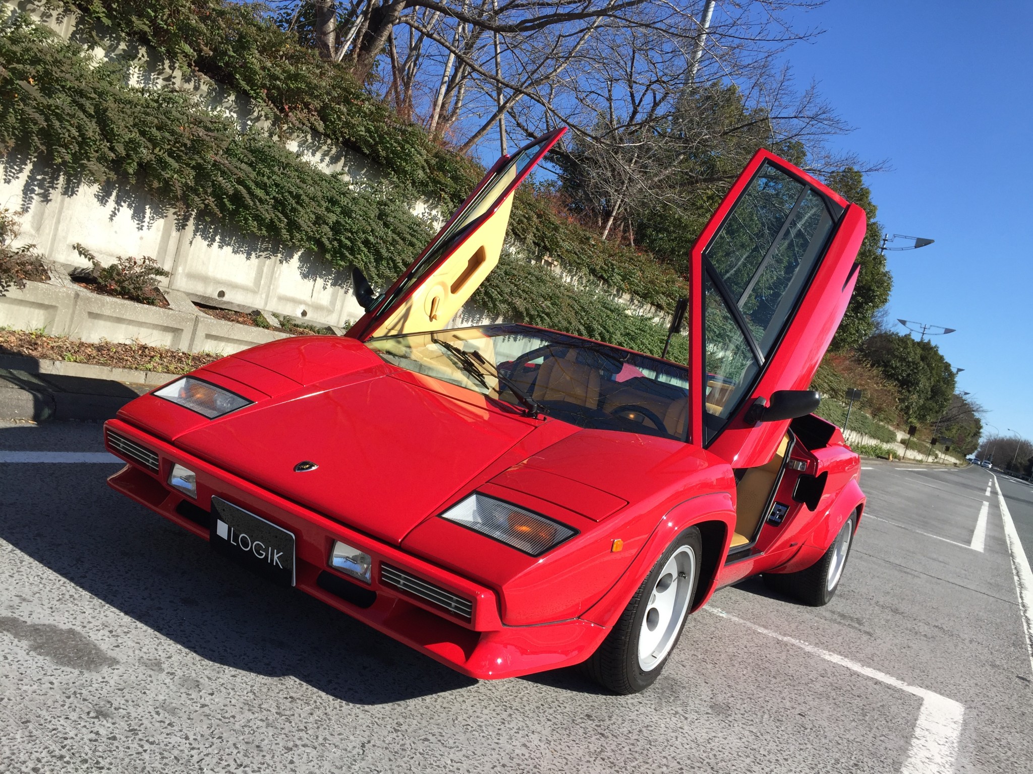 孤独な老牛は強く、そして、しなやか。-LAMBORGHINI Countach LP5000QV